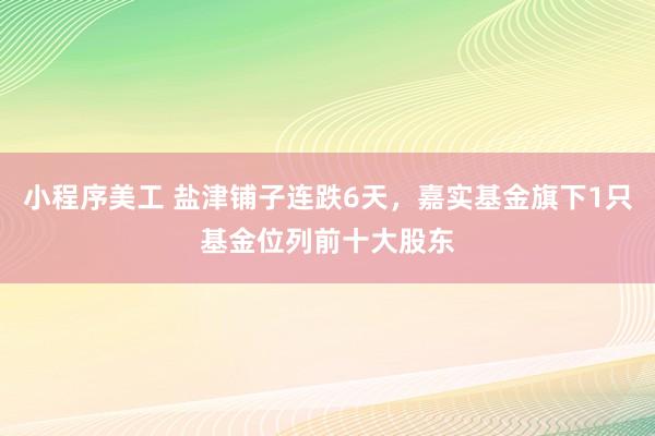 小程序美工 盐津铺子连跌6天，嘉实基金旗下1只基金位列前十大股东